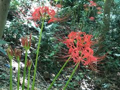 -敬亭山风景名胜区