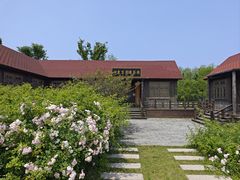 -溱湖国家湿地公园