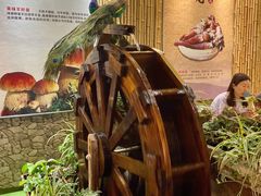 -大理董·董家小厨野生菌火锅(古城旗舰店)