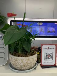 -悟空祛痘·亚健康皮肤管理中心