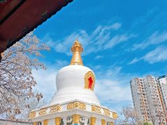 -护国法轮寺