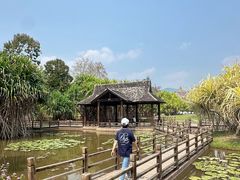 -西双版纳原始森林公园