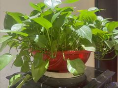 -王府井酒店(金桥港湾店)