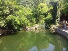 -石老人观光园