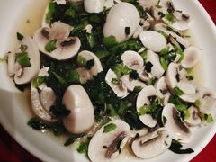 手捏菜炒蘑菇-群乐饭店(滨安路店)