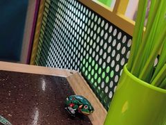 -蛙喔牛蛙(百联南方店)