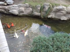-汉庭顿图书馆