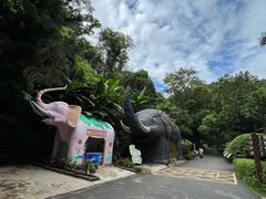 -野象谷景区