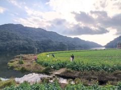 -广州市石门国家森林公园
