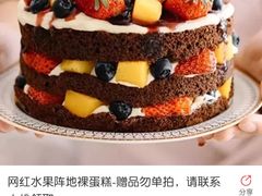 -维尔纳斯·生日蛋糕动物奶油冰淇淋蛋糕(人大店)