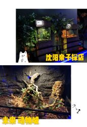 -未来动物城动物主题公园(大悦城店)