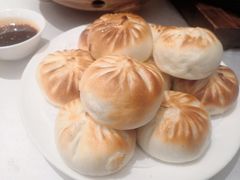 -飞鹿餐饮·陕南菜(北关店)