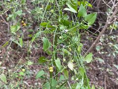 -云峰山自然风景区
