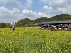 -红山村