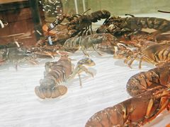 -万龙洲海鲜(大兴绿地缤纷城店)