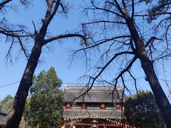 -西园戒幢律寺