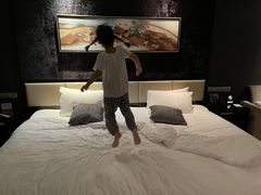 -常州环球恐龙城维景国际大酒店