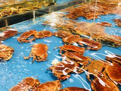 -宝燕海货工场(长江国际店)