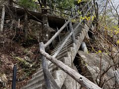 -王顺山国家森林公园