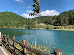 -武陵山森林公园