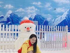 -世界之窗阿尔卑斯冰雪世界