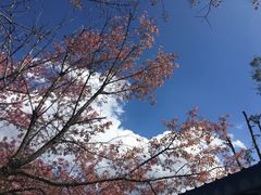 -苍山感通索道