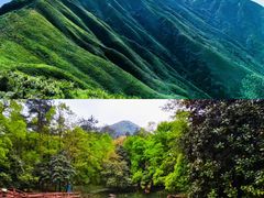 -大奇山国家森林公园