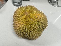 -双福水果批发市场