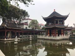 -碧江金楼