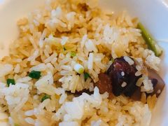 煲仔饭-春霞园餐厅