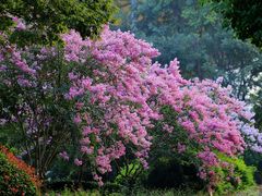 -杭州城北体育公园