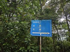 -广州市帽峰山景区