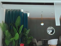 -森茶(湛江万达店)