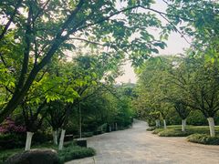 -南山植物园