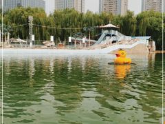-团结湖公园