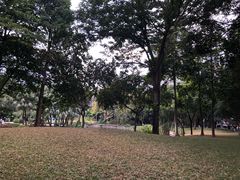 -晓港公园