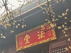 -鸿运楼·舌尖上的徽菜