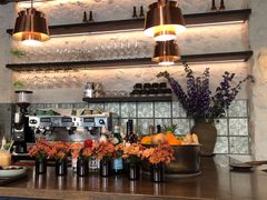 -Apollo·西班牙小酒馆(安福路店)