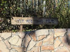 -辛庄国际文化艺术区