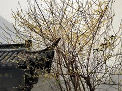 -河坊街景区