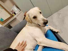 -FAELING PETS美天灵宠物(合生汇店)