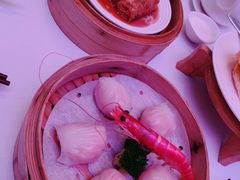 和苑招牌虾饺-和苑·精致粤菜(珠江新城店)