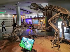 -自贡恐龙博物馆