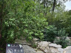 -大伊山景区