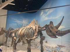 -国家自然博物馆