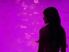 -沈阳海洋探索中心