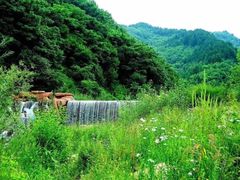 -道须沟旅游风景区