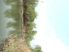 梁鸿国家湿地公园-梁鸿国家湿地公园