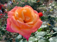 -人民公园(罗湖区)