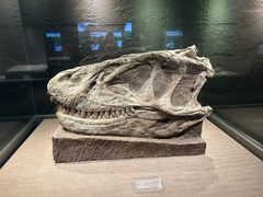 -自贡恐龙博物馆